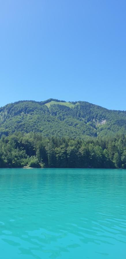 Ferienwohnung Am Fuschlsee Фушл ам Зее Экстерьер фото